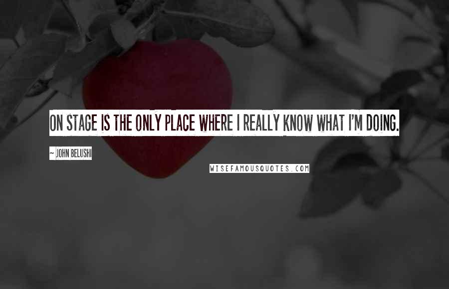 John Belushi Quotes: On stage is the only place where I really know what I'm doing.