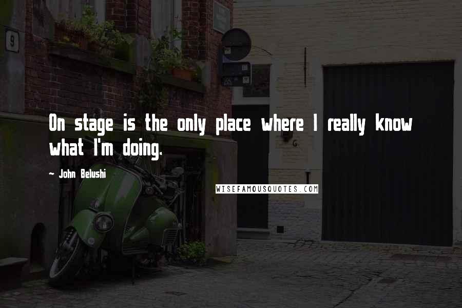 John Belushi Quotes: On stage is the only place where I really know what I'm doing.