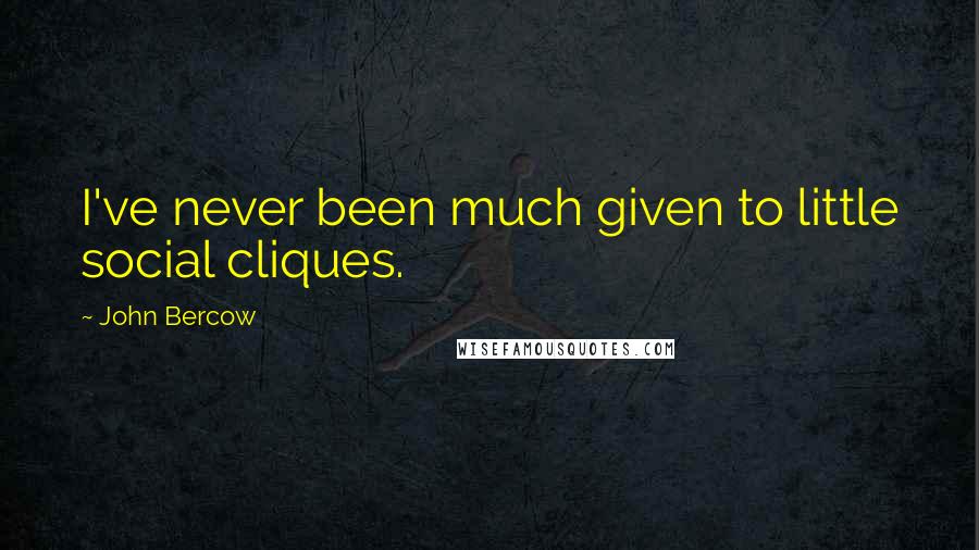 John Bercow Quotes: I've never been much given to little social cliques.