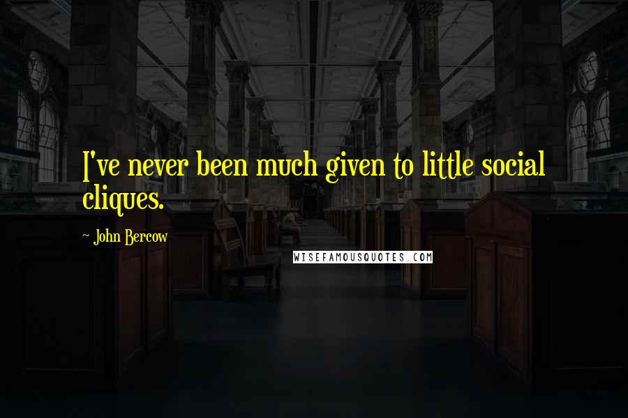 John Bercow Quotes: I've never been much given to little social cliques.