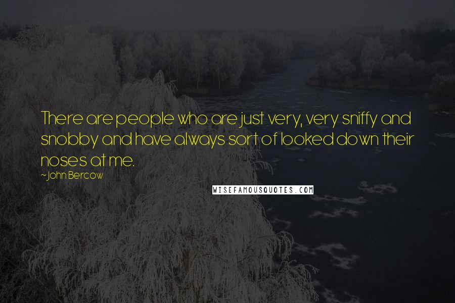 John Bercow Quotes: There are people who are just very, very sniffy and snobby and have always sort of looked down their noses at me.