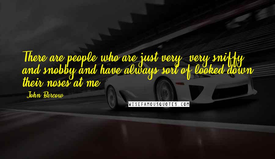 John Bercow Quotes: There are people who are just very, very sniffy and snobby and have always sort of looked down their noses at me.