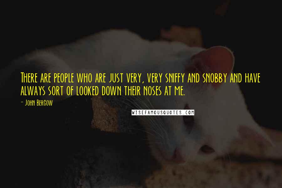 John Bercow Quotes: There are people who are just very, very sniffy and snobby and have always sort of looked down their noses at me.