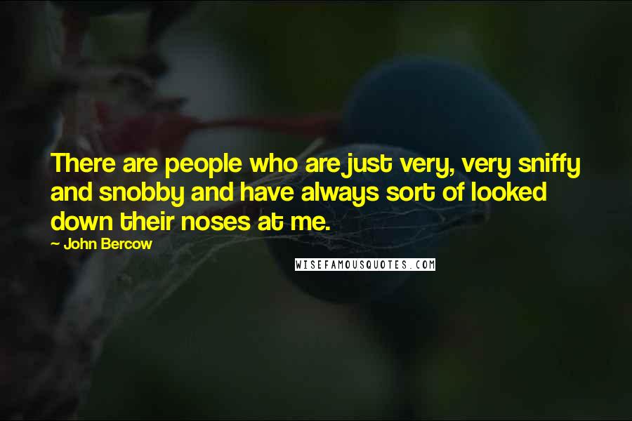 John Bercow Quotes: There are people who are just very, very sniffy and snobby and have always sort of looked down their noses at me.