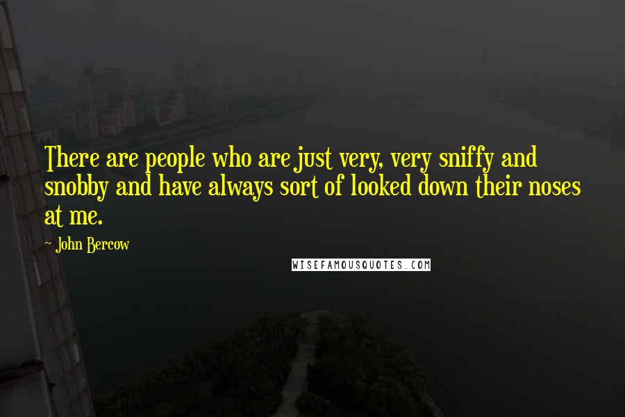 John Bercow Quotes: There are people who are just very, very sniffy and snobby and have always sort of looked down their noses at me.