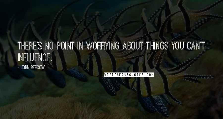 John Bercow Quotes: There's no point in worrying about things you can't influence.