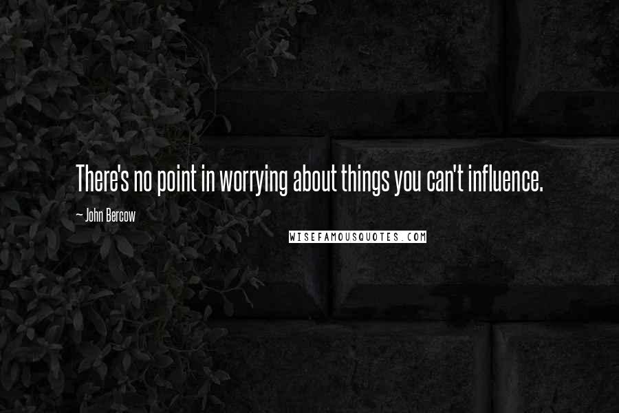 John Bercow Quotes: There's no point in worrying about things you can't influence.