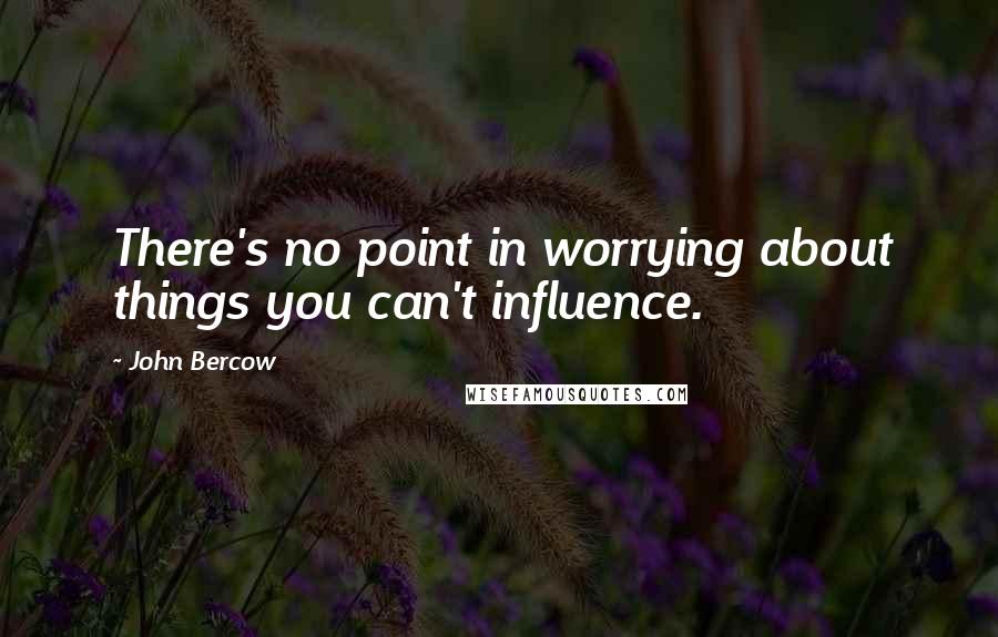 John Bercow Quotes: There's no point in worrying about things you can't influence.