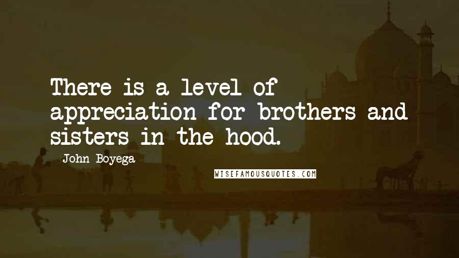 John Boyega Quotes: There is a level of appreciation for brothers and sisters in the hood.