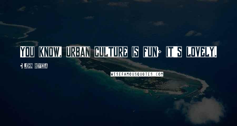 John Boyega Quotes: You know, urban culture is fun; it's lovely.