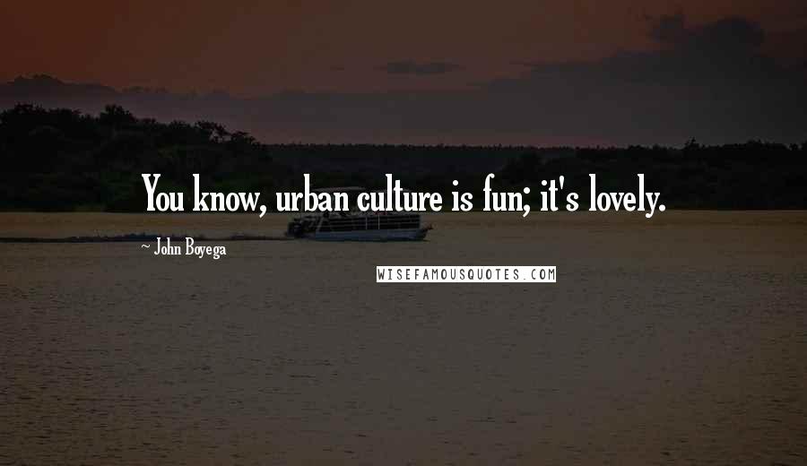 John Boyega Quotes: You know, urban culture is fun; it's lovely.