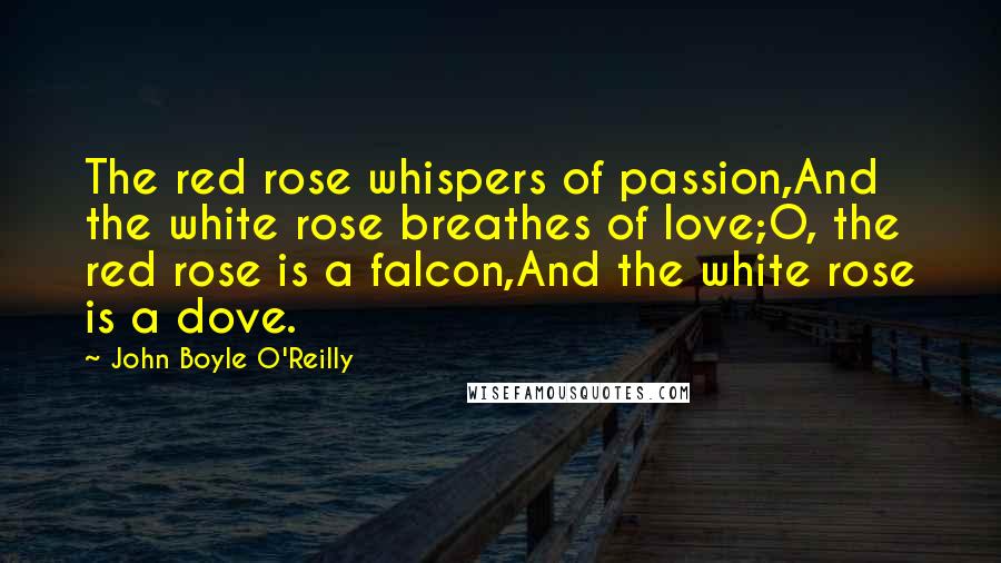 John Boyle O'Reilly Quotes: The red rose whispers of passion,And the white rose breathes of love;O, the red rose is a falcon,And the white rose is a dove.