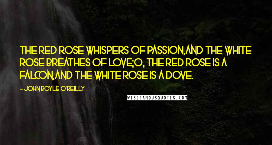 John Boyle O'Reilly Quotes: The red rose whispers of passion,And the white rose breathes of love;O, the red rose is a falcon,And the white rose is a dove.