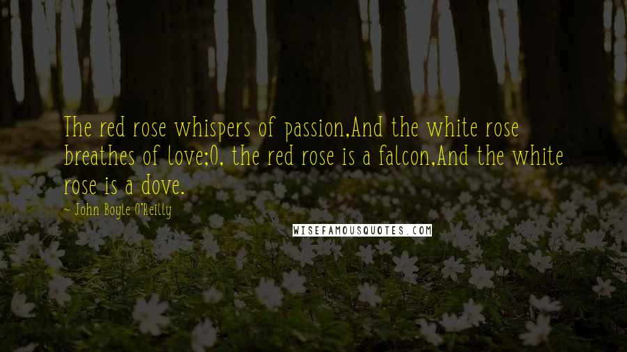 John Boyle O'Reilly Quotes: The red rose whispers of passion,And the white rose breathes of love;O, the red rose is a falcon,And the white rose is a dove.