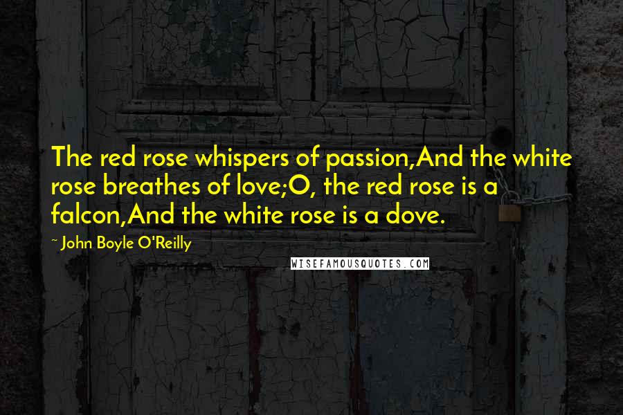 John Boyle O'Reilly Quotes: The red rose whispers of passion,And the white rose breathes of love;O, the red rose is a falcon,And the white rose is a dove.