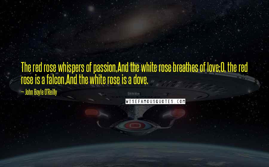 John Boyle O'Reilly Quotes: The red rose whispers of passion,And the white rose breathes of love;O, the red rose is a falcon,And the white rose is a dove.