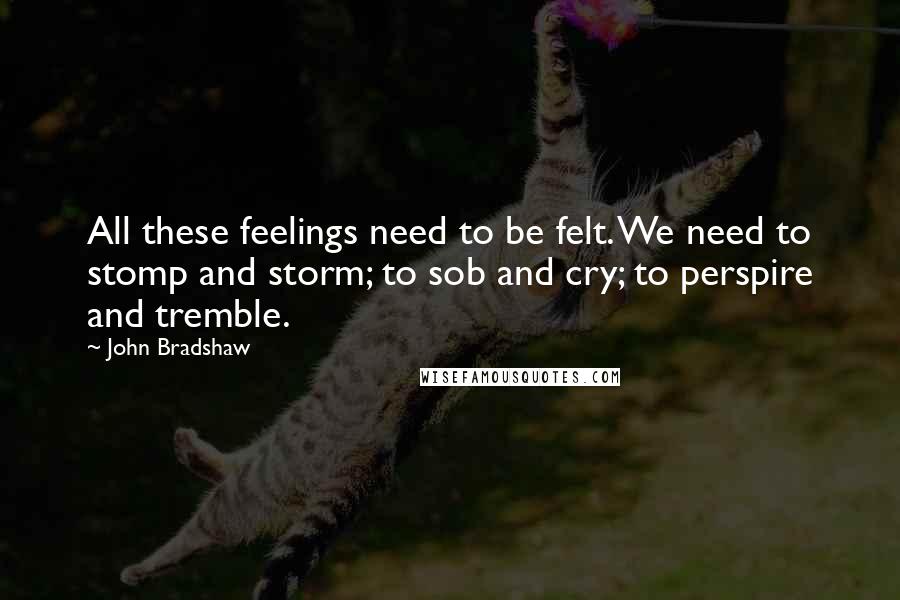 John Bradshaw Quotes: All these feelings need to be felt. We need to stomp and storm; to sob and cry; to perspire and tremble.