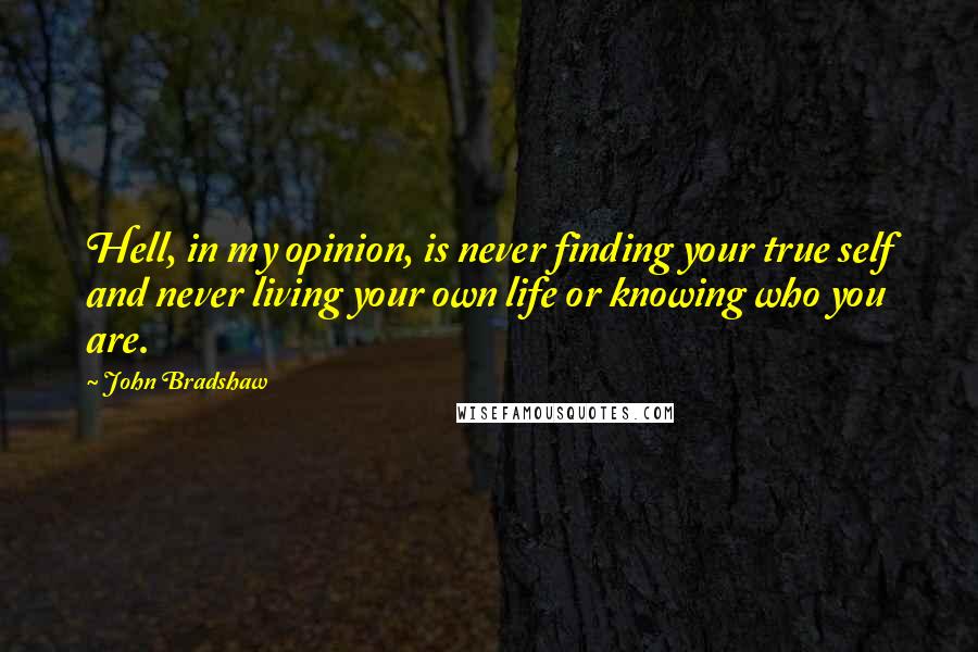 John Bradshaw Quotes: Hell, in my opinion, is never finding your true self and never living your own life or knowing who you are.