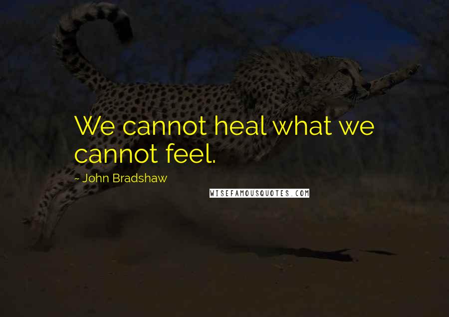 John Bradshaw Quotes: We cannot heal what we cannot feel.