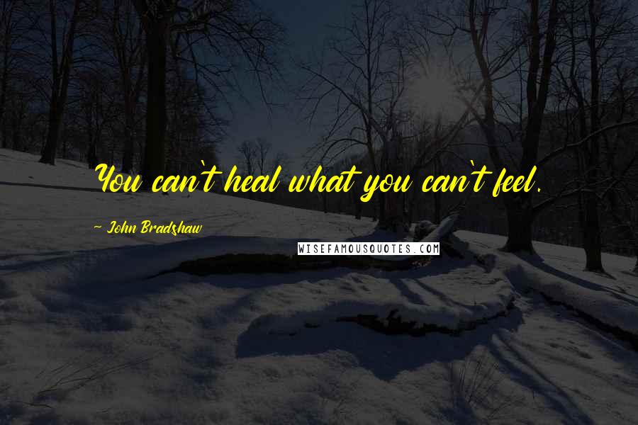 John Bradshaw Quotes: You can't heal what you can't feel.