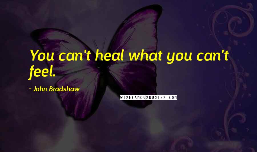 John Bradshaw Quotes: You can't heal what you can't feel.