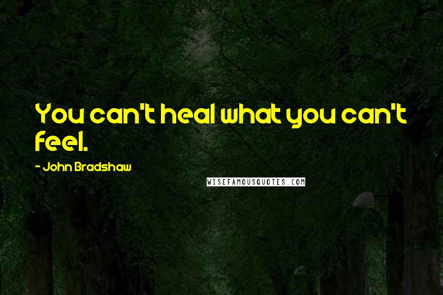 John Bradshaw Quotes: You can't heal what you can't feel.