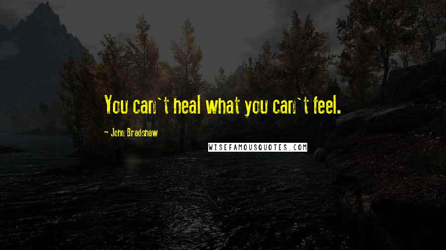 John Bradshaw Quotes: You can't heal what you can't feel.