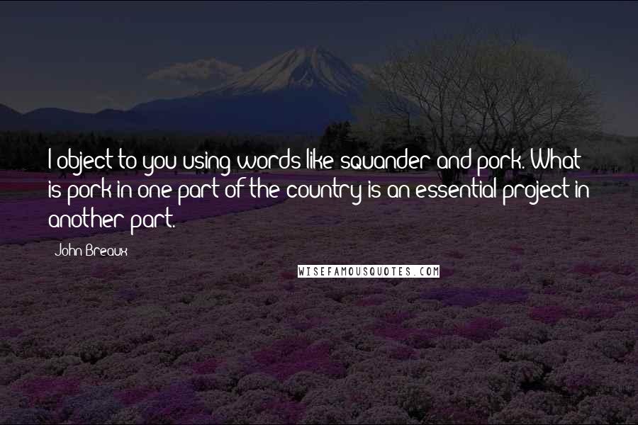 John Breaux Quotes: I object to you using words like squander and pork. What is pork in one part of the country is an essential project in another part.