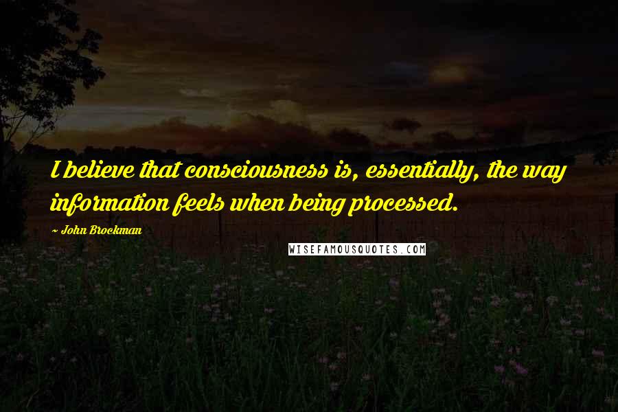 John Brockman Quotes: I believe that consciousness is, essentially, the way information feels when being processed.