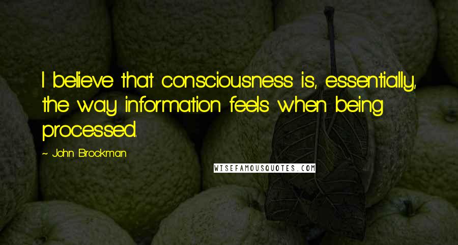 John Brockman Quotes: I believe that consciousness is, essentially, the way information feels when being processed.