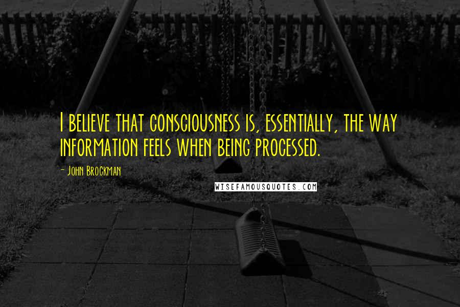 John Brockman Quotes: I believe that consciousness is, essentially, the way information feels when being processed.