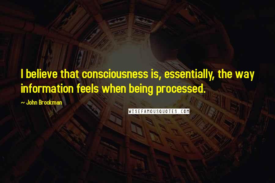 John Brockman Quotes: I believe that consciousness is, essentially, the way information feels when being processed.