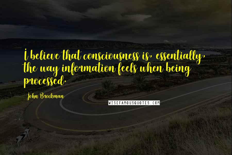 John Brockman Quotes: I believe that consciousness is, essentially, the way information feels when being processed.