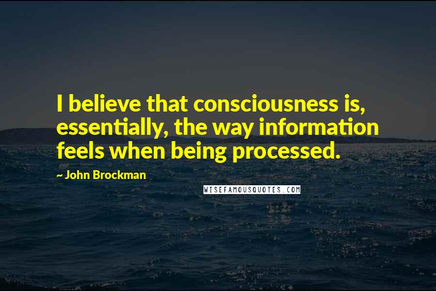 John Brockman Quotes: I believe that consciousness is, essentially, the way information feels when being processed.