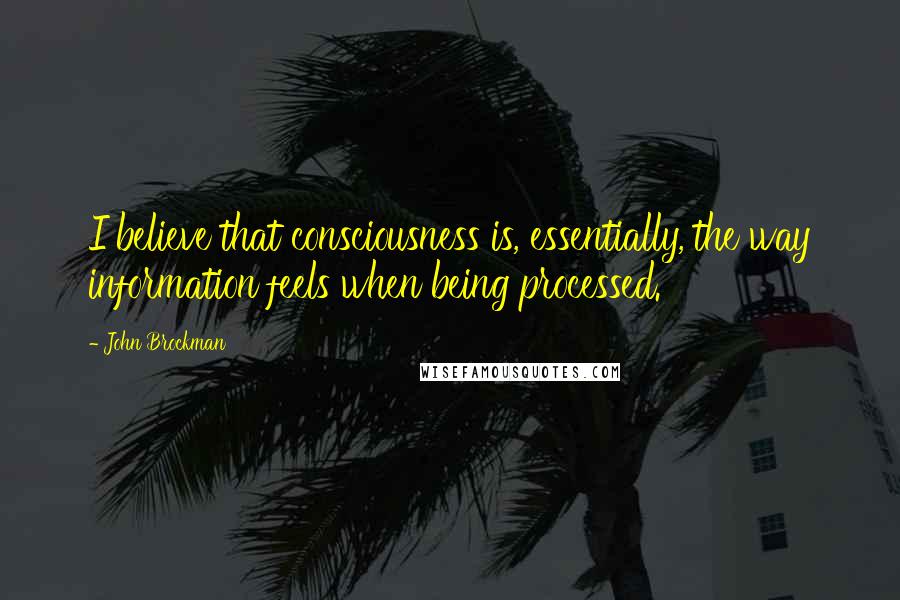 John Brockman Quotes: I believe that consciousness is, essentially, the way information feels when being processed.