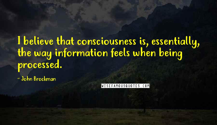 John Brockman Quotes: I believe that consciousness is, essentially, the way information feels when being processed.