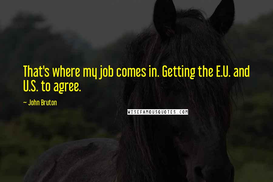 John Bruton Quotes: That's where my job comes in. Getting the E.U. and U.S. to agree.