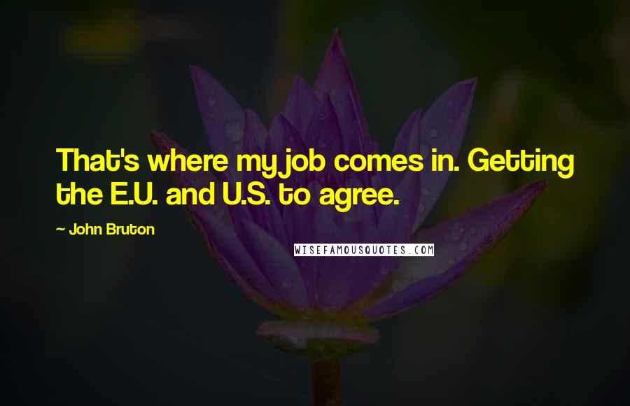 John Bruton Quotes: That's where my job comes in. Getting the E.U. and U.S. to agree.