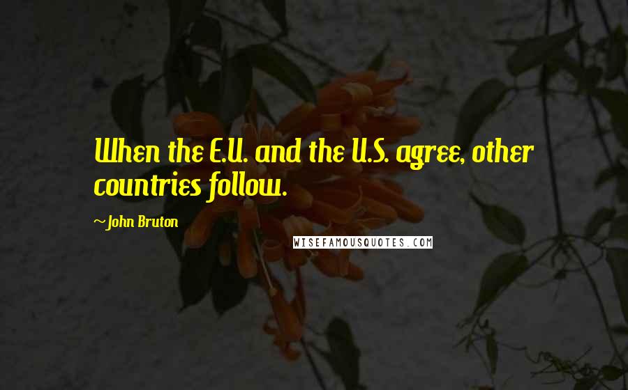 John Bruton Quotes: When the E.U. and the U.S. agree, other countries follow.