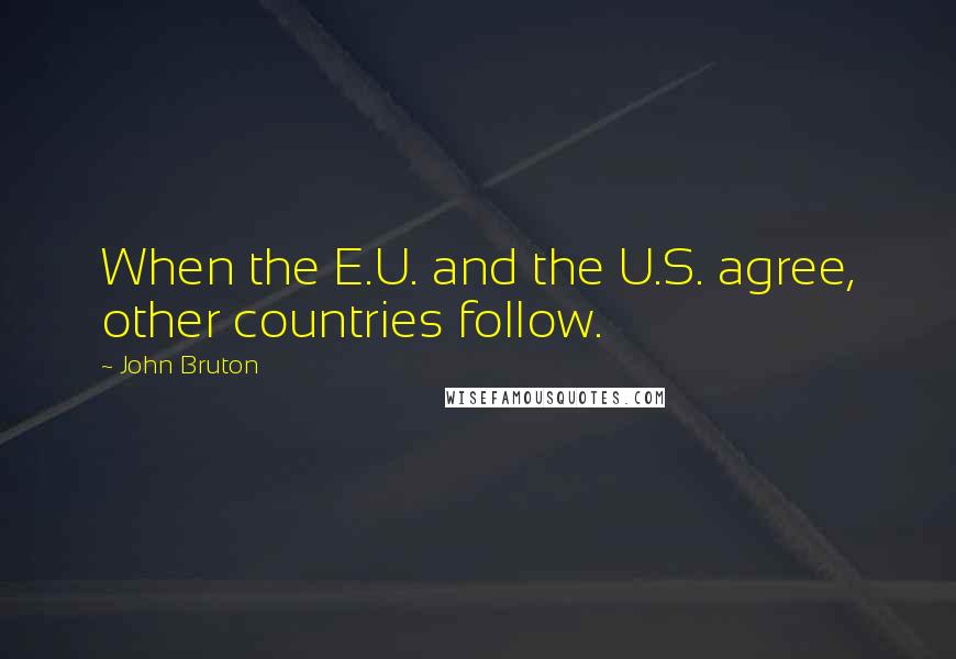 John Bruton Quotes: When the E.U. and the U.S. agree, other countries follow.