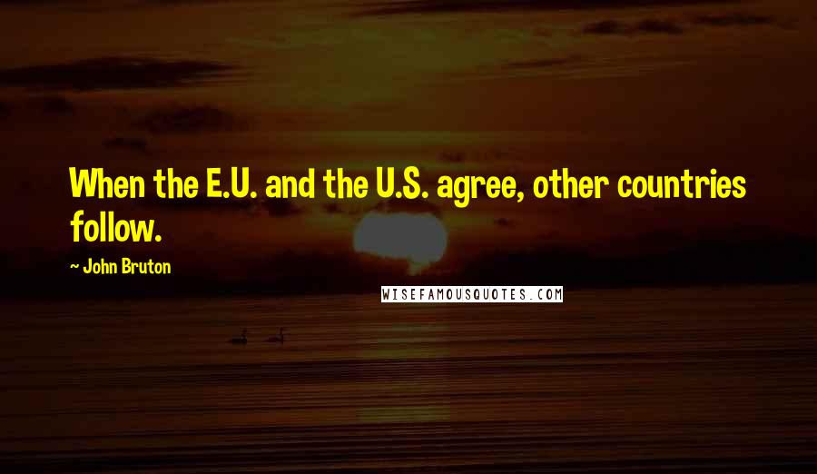 John Bruton Quotes: When the E.U. and the U.S. agree, other countries follow.