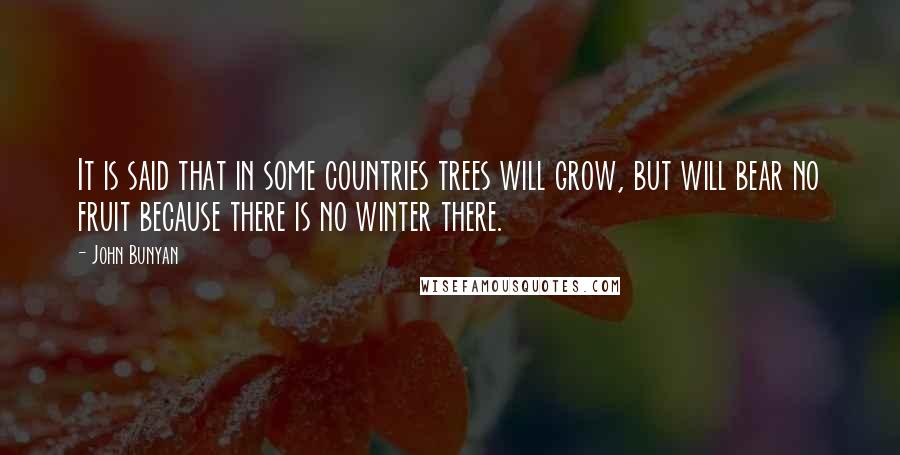 John Bunyan Quotes: It is said that in some countries trees will grow, but will bear no fruit because there is no winter there.
