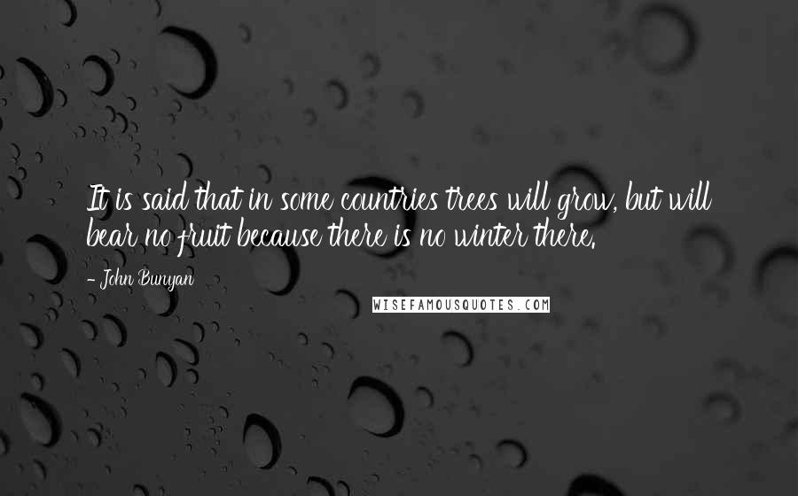 John Bunyan Quotes: It is said that in some countries trees will grow, but will bear no fruit because there is no winter there.