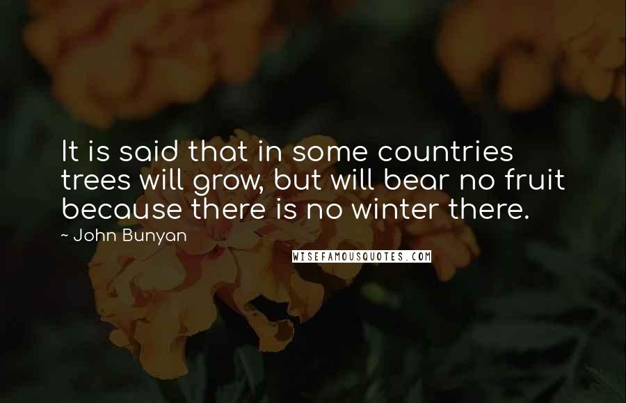 John Bunyan Quotes: It is said that in some countries trees will grow, but will bear no fruit because there is no winter there.