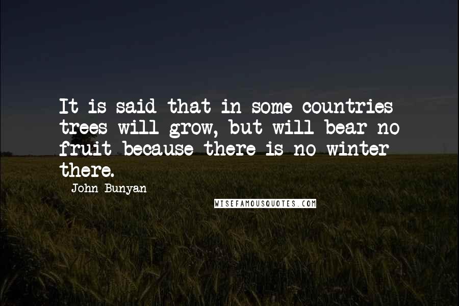 John Bunyan Quotes: It is said that in some countries trees will grow, but will bear no fruit because there is no winter there.