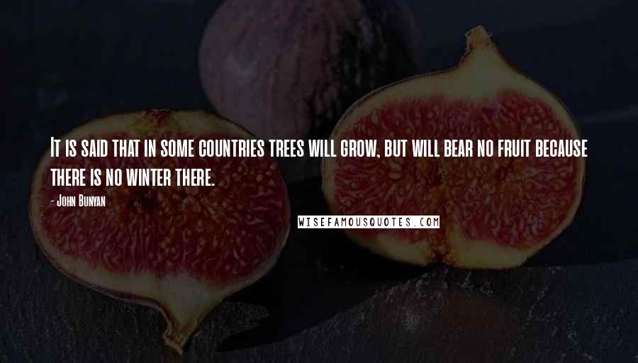 John Bunyan Quotes: It is said that in some countries trees will grow, but will bear no fruit because there is no winter there.