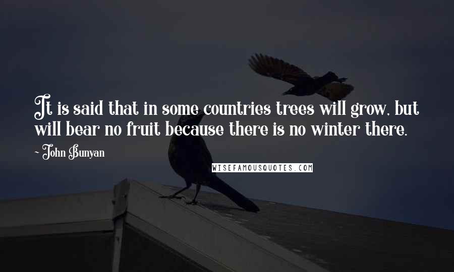 John Bunyan Quotes: It is said that in some countries trees will grow, but will bear no fruit because there is no winter there.