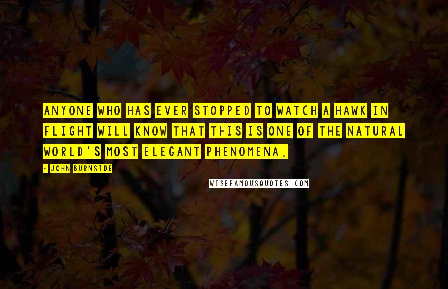 John Burnside Quotes: Anyone who has ever stopped to watch a hawk in flight will know that this is one of the natural world's most elegant phenomena.