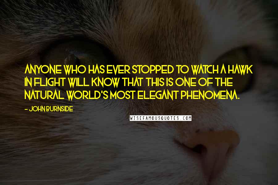 John Burnside Quotes: Anyone who has ever stopped to watch a hawk in flight will know that this is one of the natural world's most elegant phenomena.