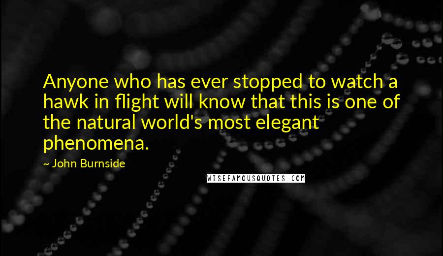 John Burnside Quotes: Anyone who has ever stopped to watch a hawk in flight will know that this is one of the natural world's most elegant phenomena.